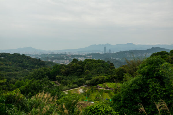 Die Hochhäuser von Taipeh in der Ferne und im Vordergrund Teeplantagen