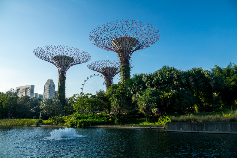 Die Supertrees im Gardens By The Bay