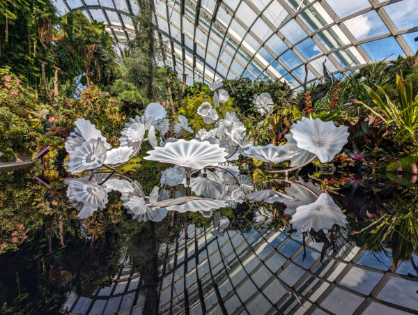 Glasskulpturen im Cloud Forest im Gardens By The Bay