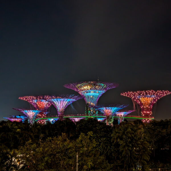 Die Supertrees im Gardens By The Bays während der Lichtshow